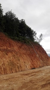 1565850434962236.jpg 201611100954405973.jpg