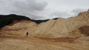 1565850436291950.jpg 20161110095422938.jpg