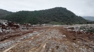 1565850672340630.jpg 201611151728465776.jpg