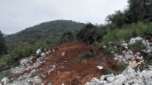 1565850686452653.jpg 201611151728314007.jpg