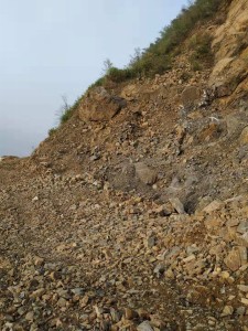 1565857742958260.jpg 20190313171411539 (1).jpg