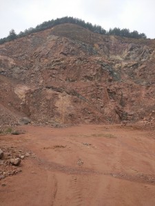 1565858513568994.jpg 201904011116539481.jpg